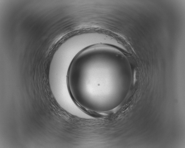 X0000052920871200507151548