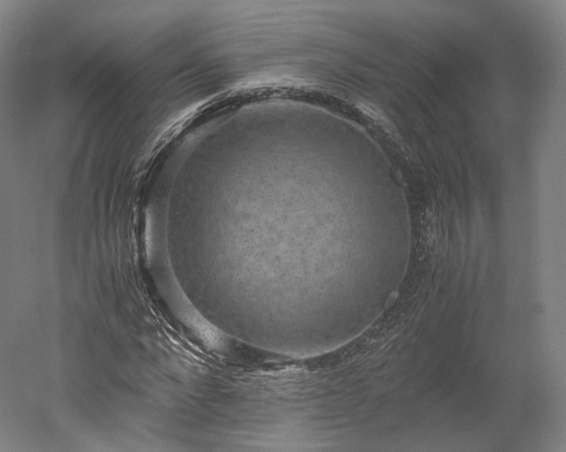 X0000052920872200507151548