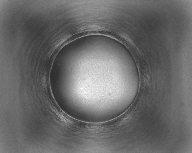X0000052920873200507151548