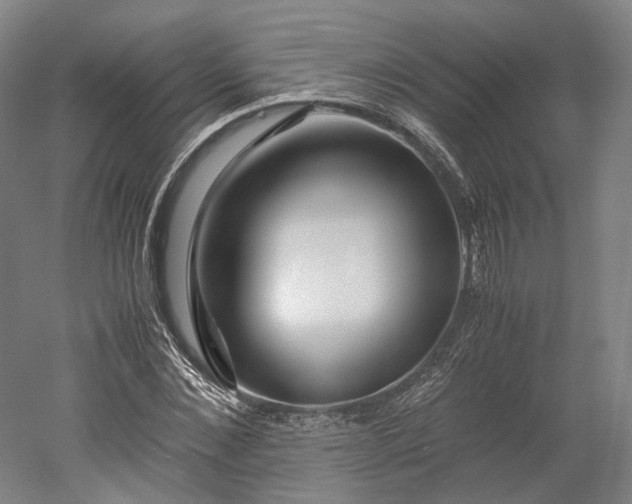 X0000052920876200507151548
