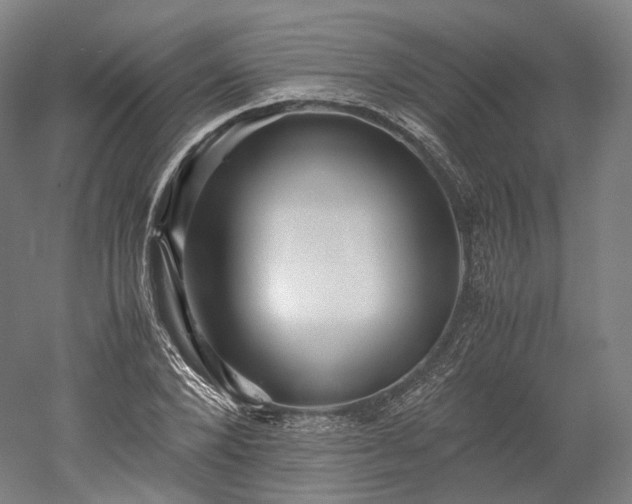 X0000052920880200507151548