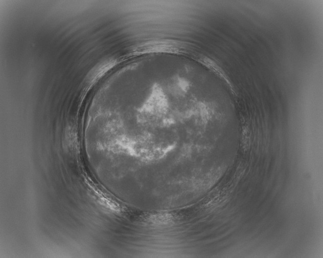 X0000052920882200507151548