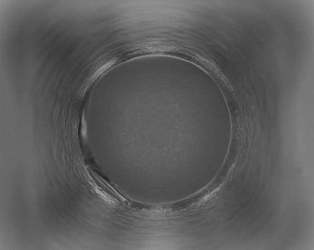 X0000052920889200507151547