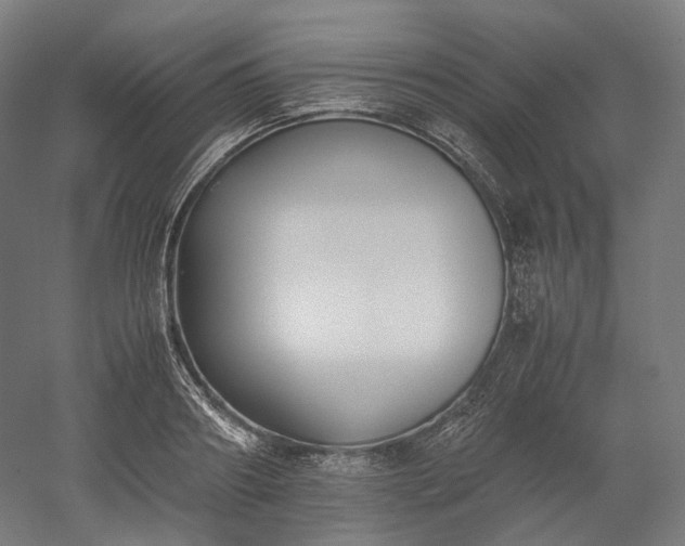 X0000052920890200507151547