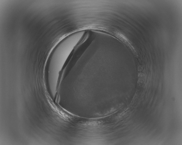 X0000052920892200507151547