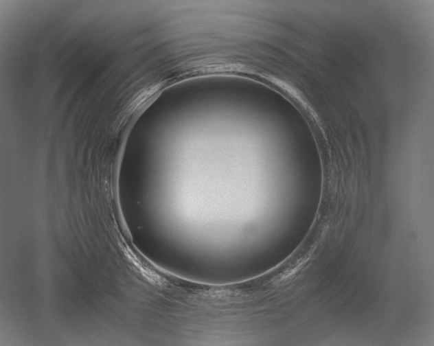 X0000052920897200507151547