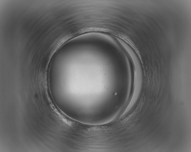 X0000052920898200507151547