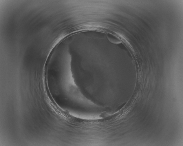 X0000052920899200507151547
