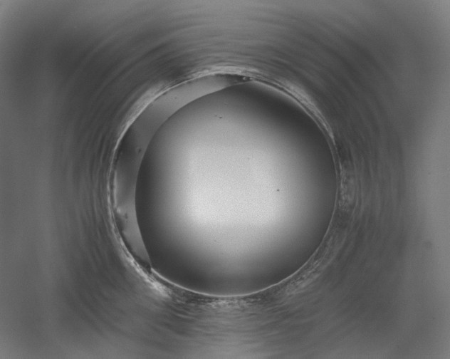 X0000052920906200507151547