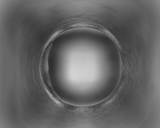 X0000052920909200507151547