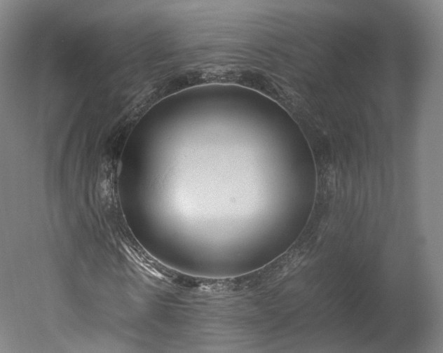 X0000052920914200507151546
