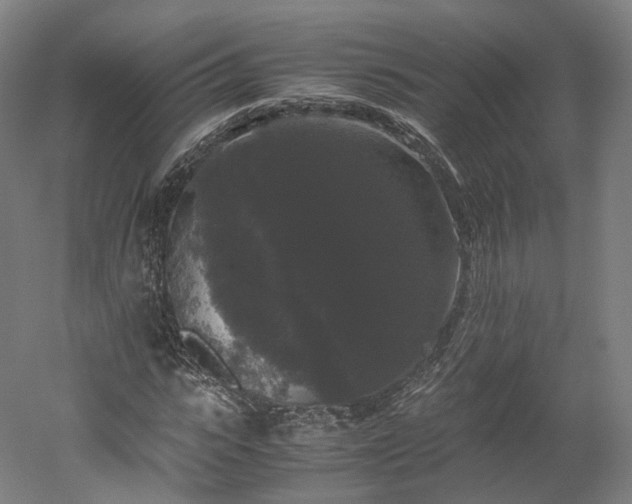 X0000052920919200507151546