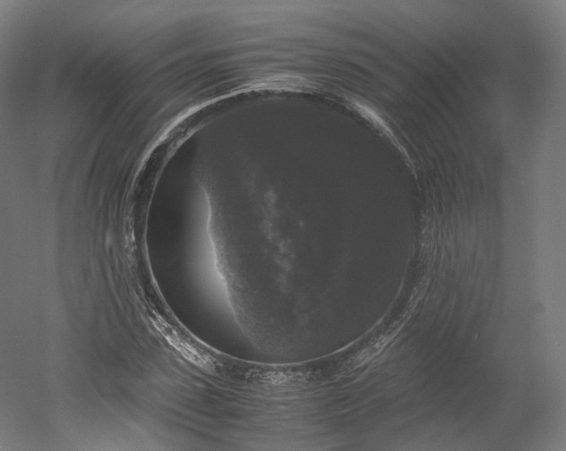 X0000052920923200507151546