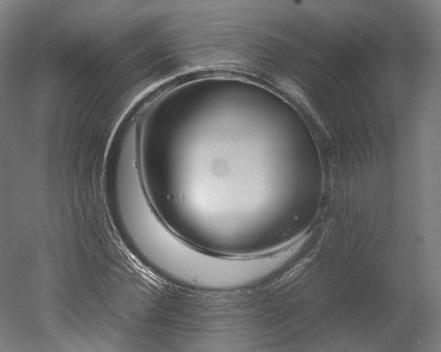 X0000052920924200507151546