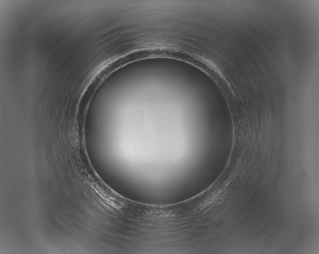 X0000052920927200507151546