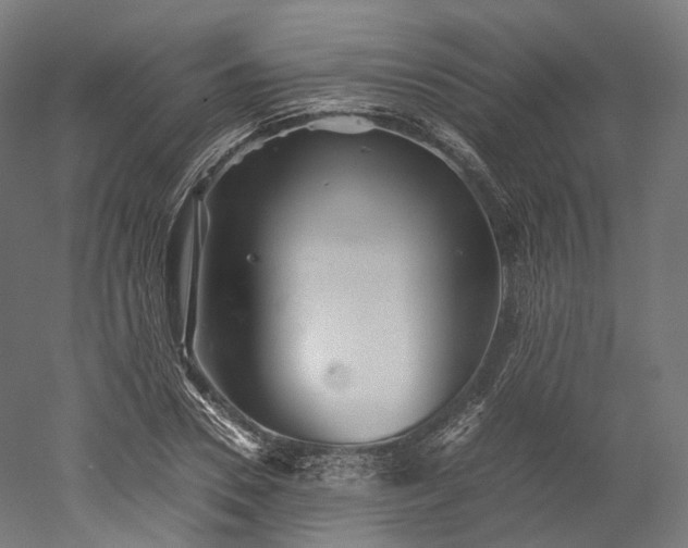 X0000052920930200507151546