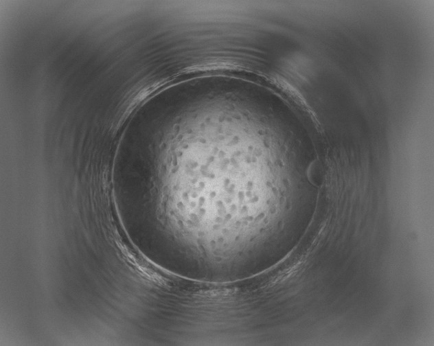 X0000052920937200507151547
