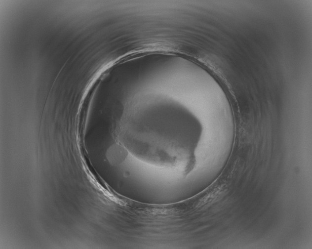 X0000052920941200507151547