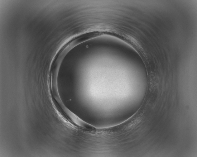X0000052920942200507151547
