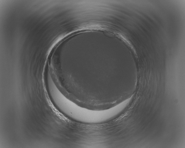 X0000052920944200507151547