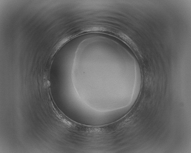 X0000052920945200507151547