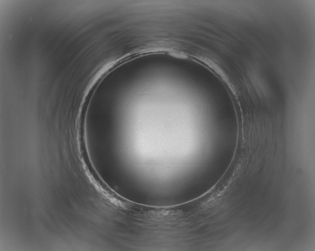X0000052920949200507151547