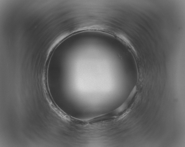 X0000052920952200507151547
