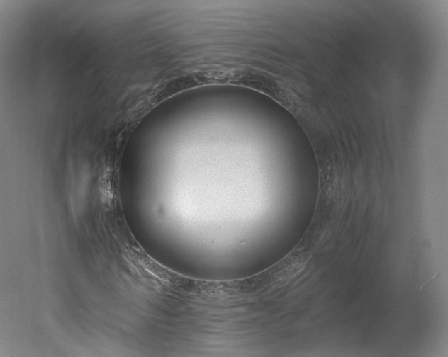 X0000052920962200507151546
