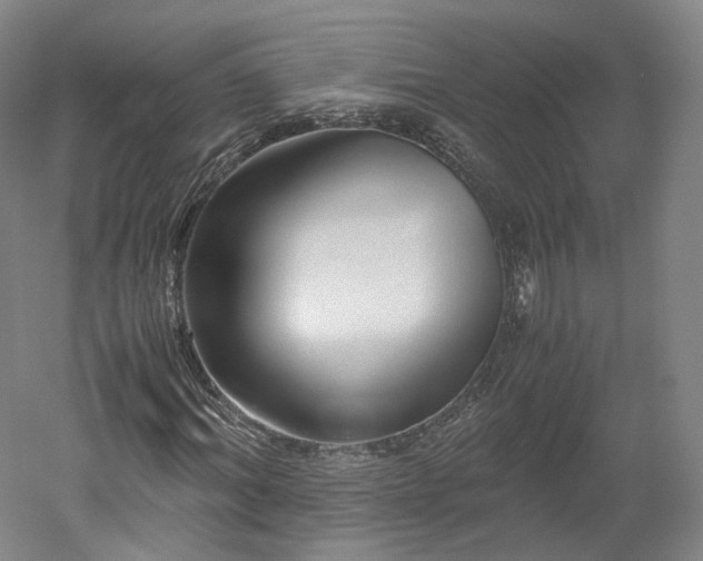 X0000052920964200507151546