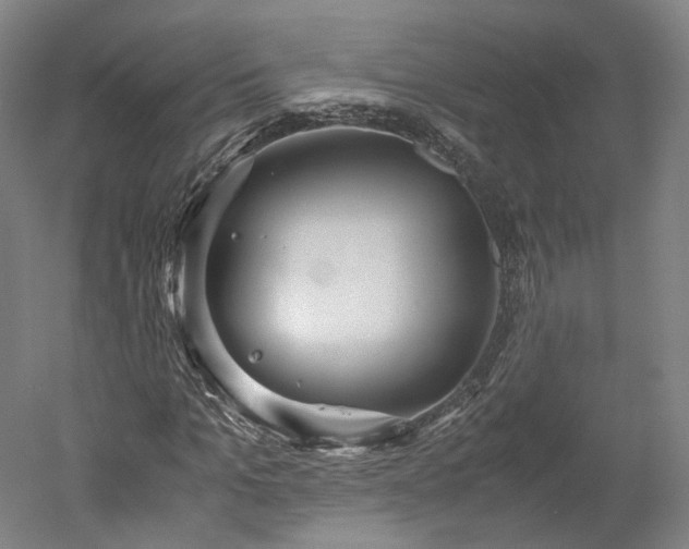 X0000052920965200507151546