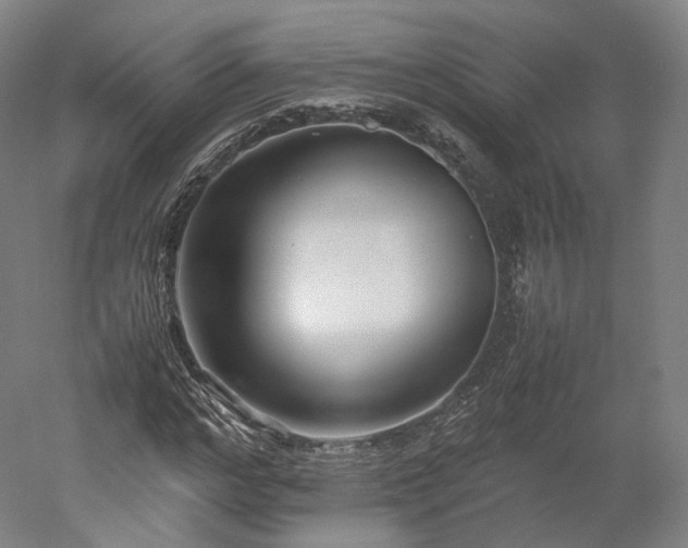 X0000052920968200507151546