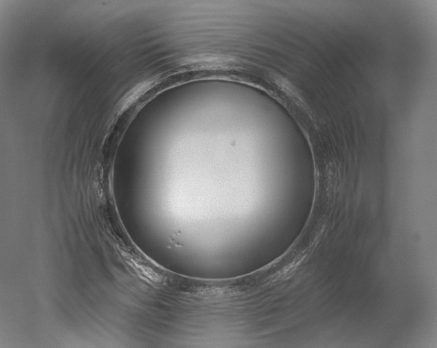 X0000052920970200507151546