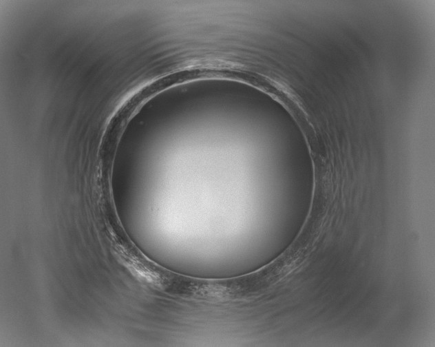 X0000052920971200507151546