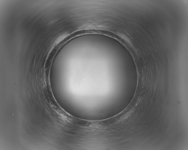 X0000052920974200507151546