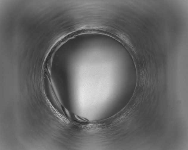 X0000052920976200507151546
