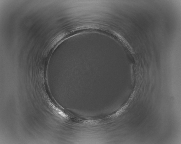 X0000052920977200507151546