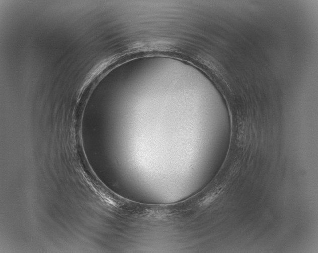 X0000052920978200507151546