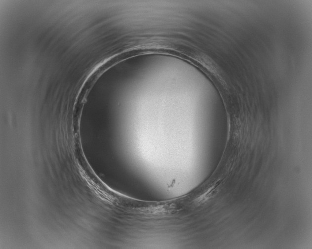 X0000052920980200507151546