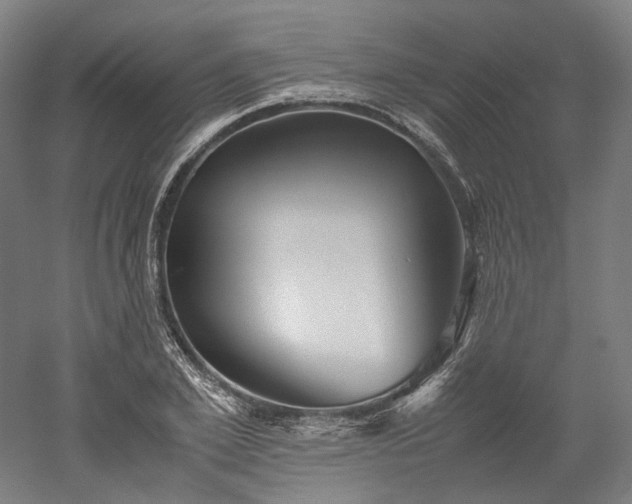 X0000052920981200507151546