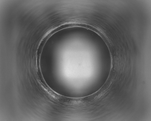 X0000052920982200507151546