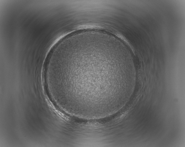 X0000052920983200507151546