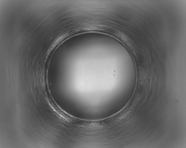 X0000052920986200507151546
