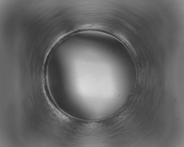 X0000052920992200507151546