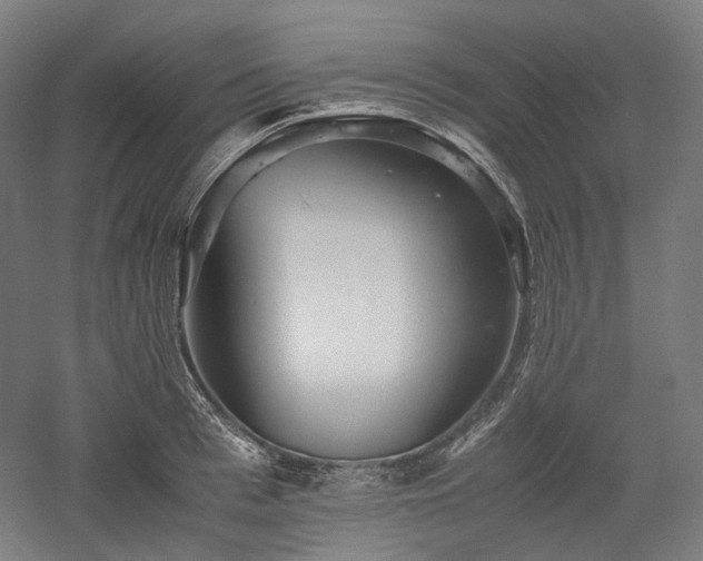 X0000052920993200507151546