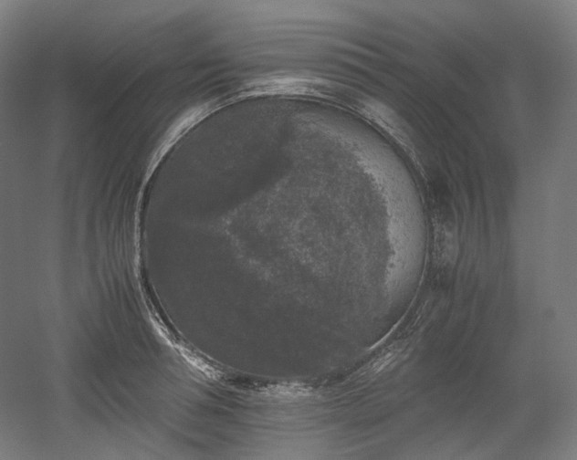 X0000052920994200507151546