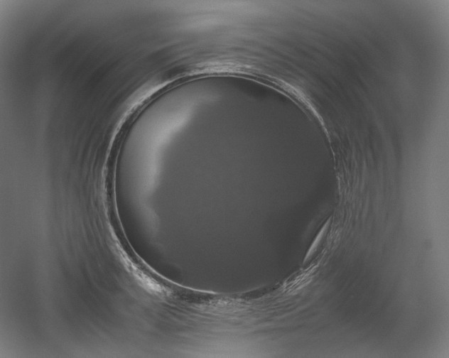 X0000052920995200507151546