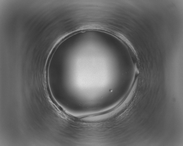 X0000052920996200507151546
