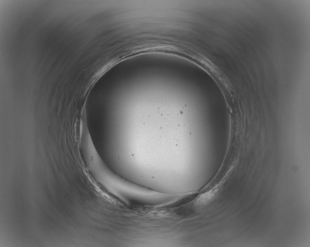 X0000052921001200507151546