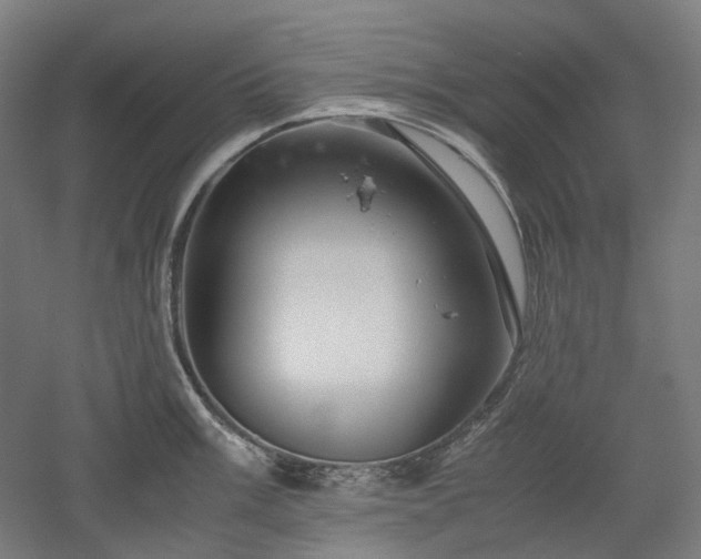 X0000052921003200507151545