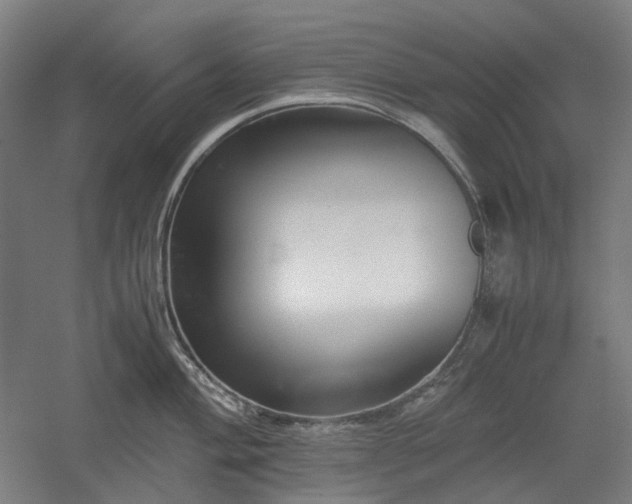 X0000052921004200507151545